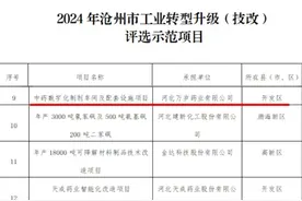 沧州经济开发区3个项目入选2024年市级技改示范项目图片