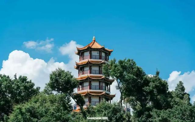 “接下来深圳这个地方，是粉色的”
