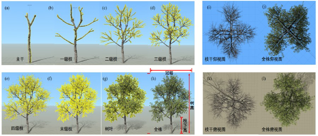 “落叶不扫”上海街头最美秋色中，藏着超大城市的气候解法
