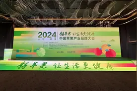 品质振兴产业 品牌引领未来丨2024年中国苹果产业品牌大会在威海成功举办图片