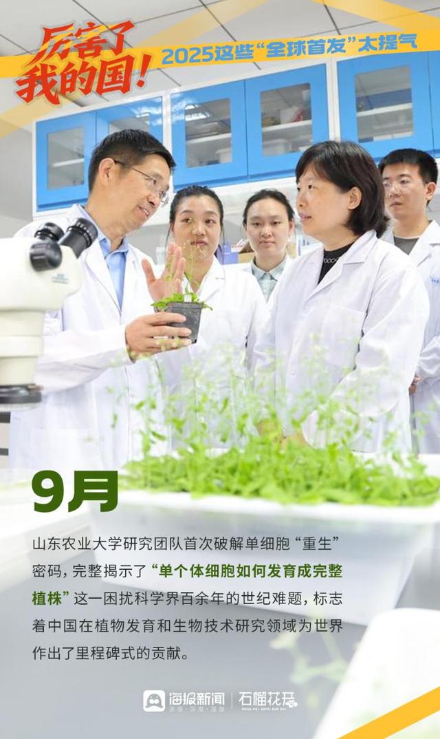 厉害了我的国！2025这些“全球首发”太提气