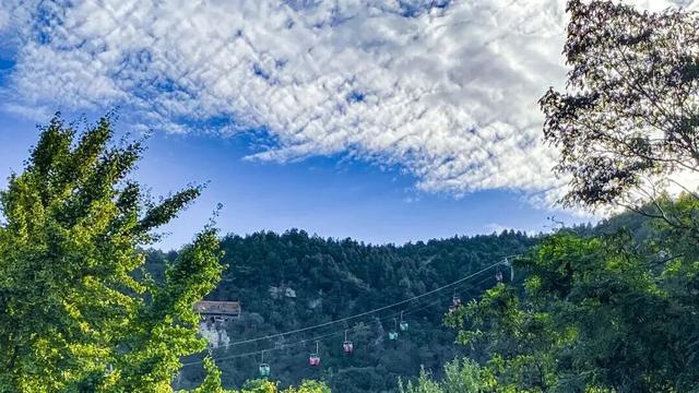 荣耀时刻！东平湖文旅集团荣膺“2025年中国文旅运营标杆企业”