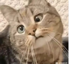 一个成本极低的小技巧，缓解焦虑的同时还能提高办事效率！