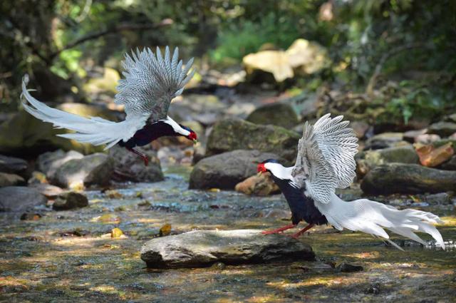 看比赛,游星湖!免票福利加码放送→