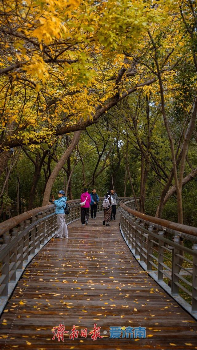 一年四季 泉在济南丨济南泉城公园：秋日胜景如画，市民尽享自然之美