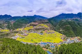 看非遗 游龙池丨本周五邀您油菜花海“撒野”！图片