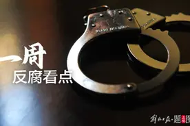 今年落马的9名正部级干部，6人都有这一共同点图片