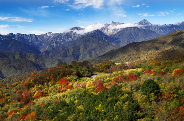 青睐绵阳 ‖ 红透了！周末去平武，沿着“百里彩林走廊”看一场雪山彩林“大片”~
