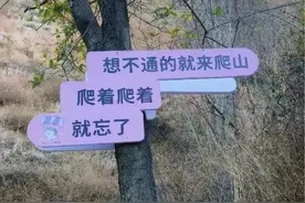 狠狠治愈！春天就要来北京爬这些山！图片