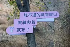 狠狠治愈！春天就要来北京爬这些山！图片