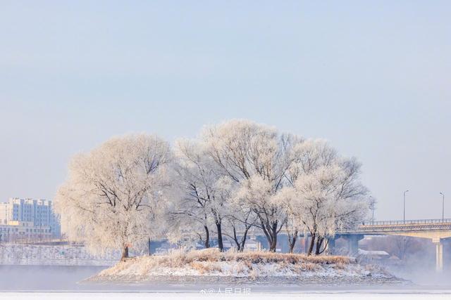 冬日画卷！吉林绝美雾凇上线