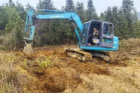 万潮镇万潮村：木姜子产业蓬勃启航图片