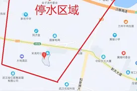 2024年11月17日蔡甸区新农老街管破抢修停水通知图片