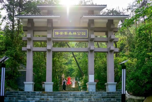 江豚“写真照”，让武汉这里火出圈