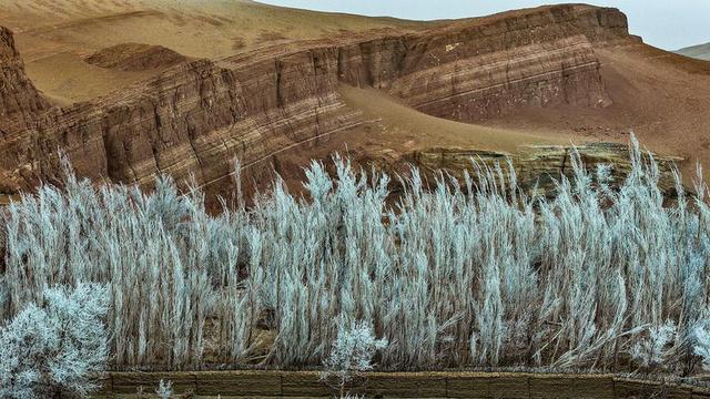 新疆托克逊县天山红河谷现雾凇景观 玉树琼枝映赤壁