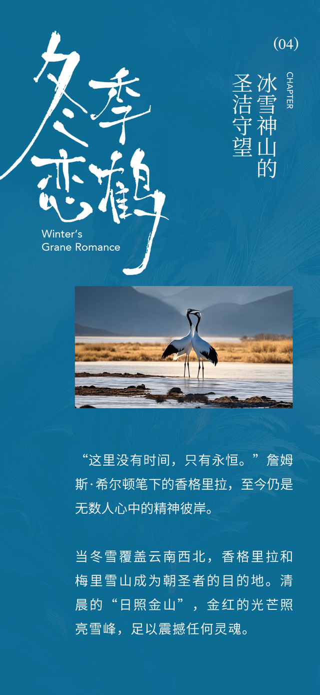 中国“旅居”天花板，为什么还得是云南？