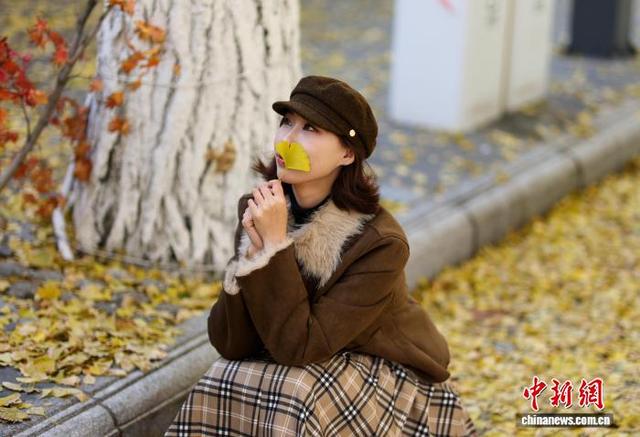 辽宁丹东金色世界的秋日画卷