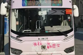 出发！春日坐上这辆“白玉兰”公交车，开启城市漫游之旅~图片