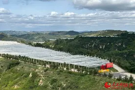 黄土高原不见“黄”，光秃荒山变绿洲图片