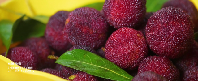 石屏城市宣传片《此心安处是石屏》发布！