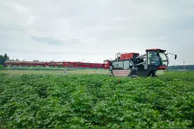 山东农业大学新农科专业+1，2025年起招生，首批招60人图片