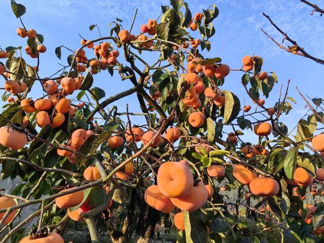 告别网红城市，曾被嫌弃的家乡“隐藏款”才是真香