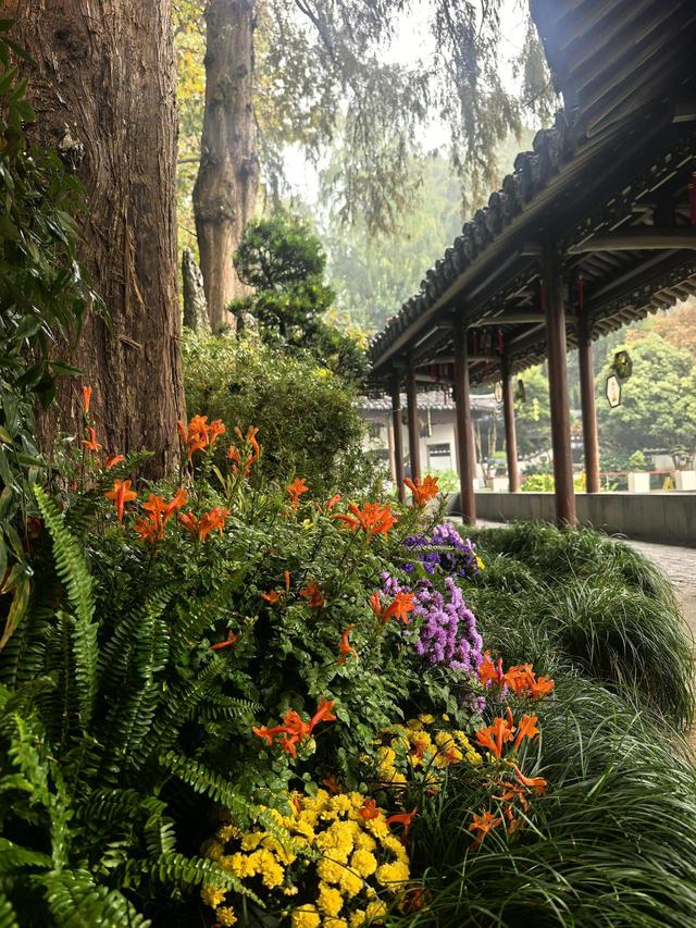 晚潮｜郭庄听雨