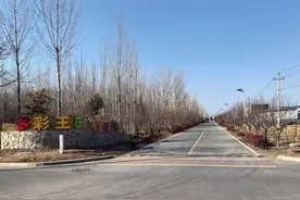 给点“颜色”就灿烂！待王街道这个宝藏乡村藏不住了！图片