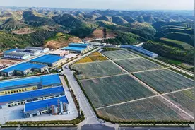高质量发展看陕西·榆林⑦｜一颗小米粒 串起大产业图片