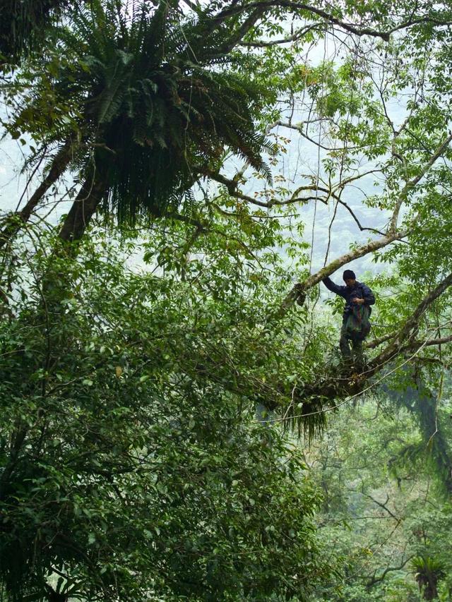 他初中毕业后终身不婚，荒野舍命工作20年，被一群博士封神
