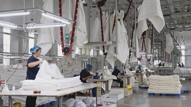 沿着黄河遇见海丨山东夏津：桑田“生金”棉海织梦 黄河故道的农旅融合新路径