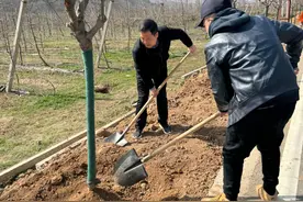 植此青绿　树以春光：陇县东南镇开展义务植树活动图片