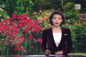 视频｜北京绿化带何以火热“出圈”？揭秘“一路生花”背后