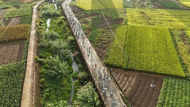 世界最大、亚洲唯一！今晨，他们在30000多棵楠木、8600亩森林，1500年的时光里奔跑......