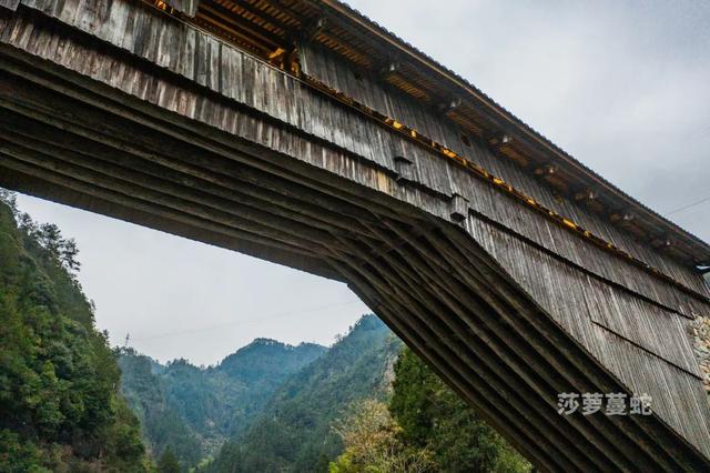 浙闽廊桥丨钟晓波：时思寺秘境 行走江南古村-寻数十座山水廊桥（10/3-7）
