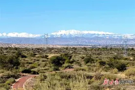 爱心跨越千里！91岁山东老人为陇原充“植”：这是和老伴的共同心愿图片
