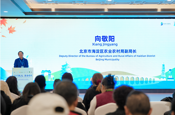 北京市海淀区携六地“众行致远” 区域协作成果惊艳亮相：科技创新驱动共同富裕，文旅精品线路向全球发出邀约