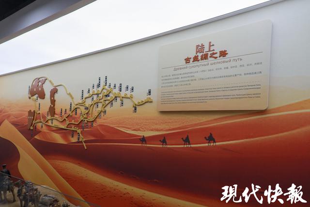活力中国调研行｜“丝路电商”联通江苏与中亚，中亚青年现场表白中国