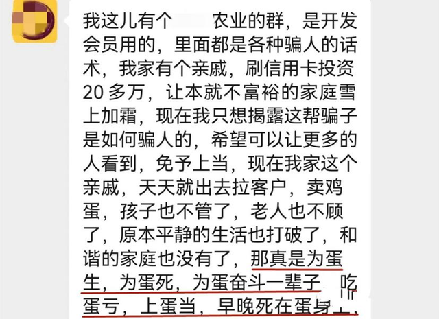 App里花上万元养的小鸡“一夜蒸发”？起底“云养殖”骗局