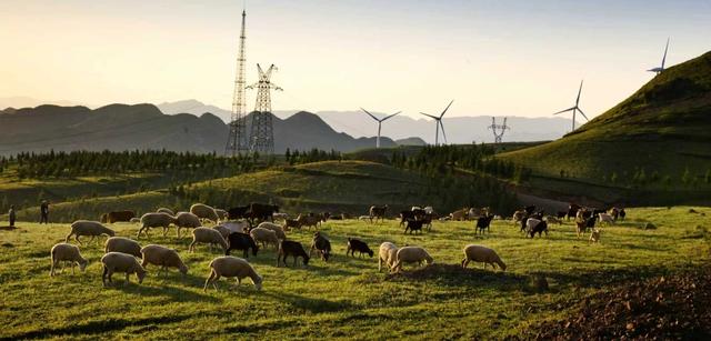 【胜境盘州·开放新程】​乌蒙大草原四季有惊喜