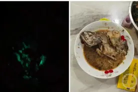 宁波女子做了一条红烧鱼，半夜竟然发绿光！咋回事？图片