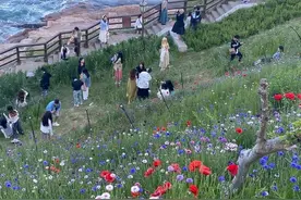 美出圈的青岛燕儿岛，如梦似幻，犹如走进莫奈的花园图片