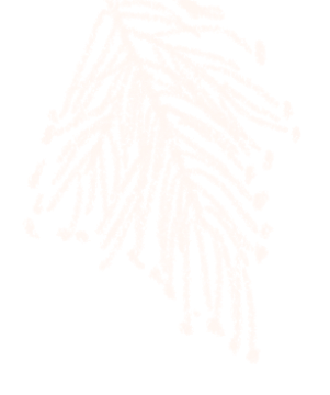 雪假快乐！长春市净月潭景区雪假优惠政策请查收→