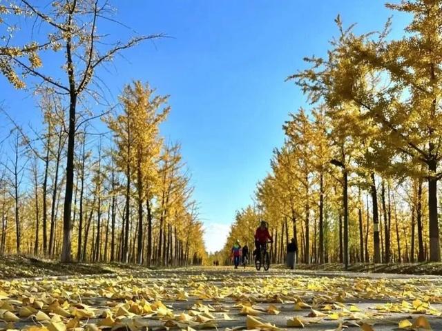 在榆次的公园里 尽享怡然时光