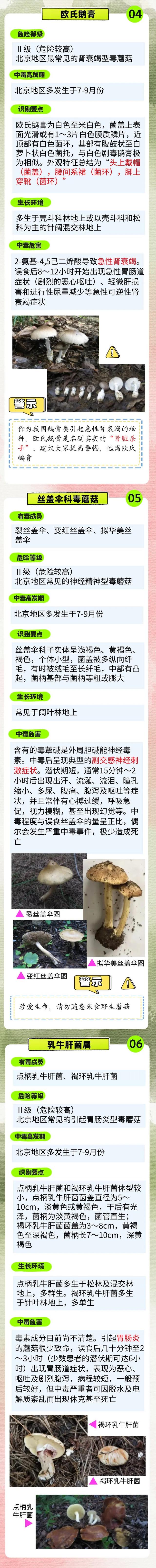 雨后大量出现！可致人中毒！北京疾控提醒