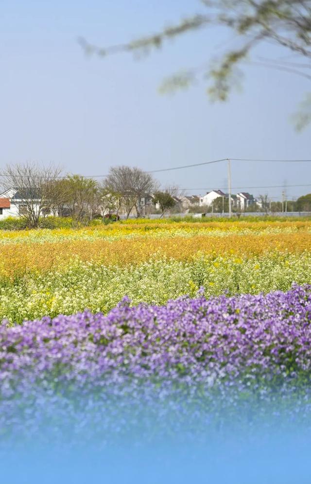 游玩、体验、美食、购物…一站式玩转→