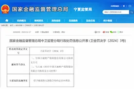 中国大地保险一支公司被罚18.7万元：给予被保险人保险合同约定以外利益图片