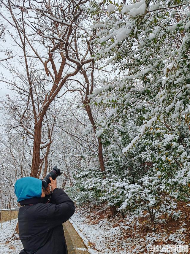 这雪景，简直就是送给青岛人的周末惊喜！