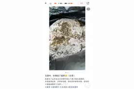 “无意中捡了套房”？游客海边捡到一块“石”，价值800万？图片