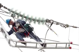 “党员先锋”龙福刚在电网一线绽放光彩图片